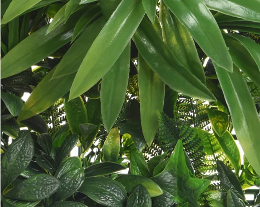 Premium Outdoor Realistic Foliage Wall Panel | Woodland - Image 2