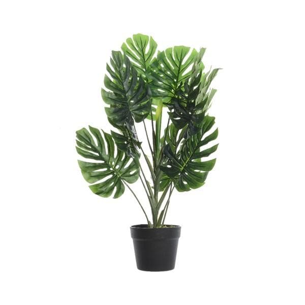 Artificial Cheese Plant