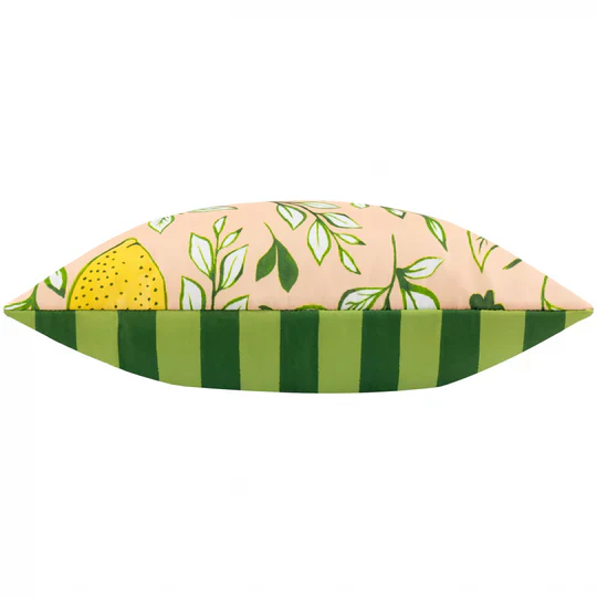 Citronello Outdoor Scatter Cushion - Image 2